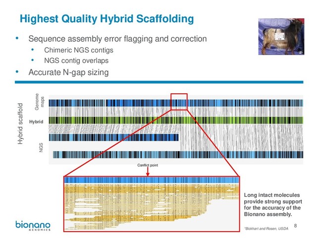 8
Highest Quality Hybrid Scaffolding
*Bickhart and Rosen, USDA
Hybrid scaffold
Hybrid
NGS
Genome
maps
Conflict point
Long intact molecules
provide strong support
for the accuracy of the
Bionano assembly.
• Sequence assembly error flagging and correction
• Chimeric NGS contigs
• NGS contig overlaps
• Accurate N-gap sizing
