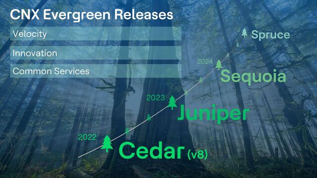 12
Copyright © 2022 HCL Technologies Limited | www.hcltechsw.com
2023
Sequoia
Juniper
Cedar(v8)
2024
2022
CNX Evergreen Releases
Velocity
Innovation
Common Services
Spruce
…
