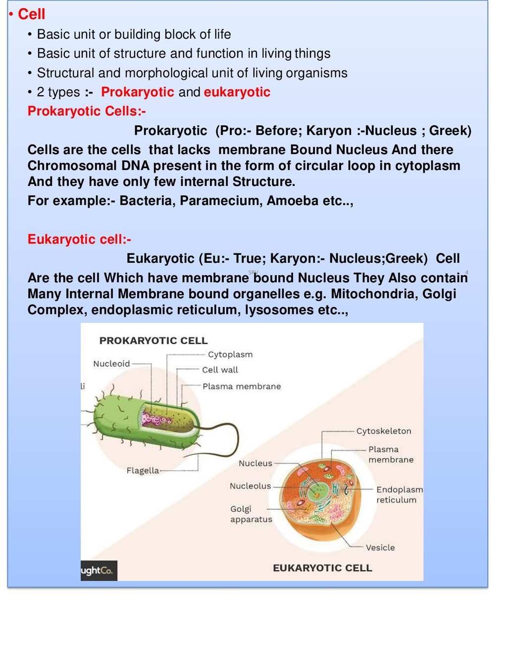 Hierarchy Of Organization Of Organisms - Speaker Deck