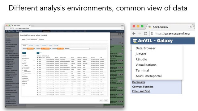 Different analysis environments, common view of data
