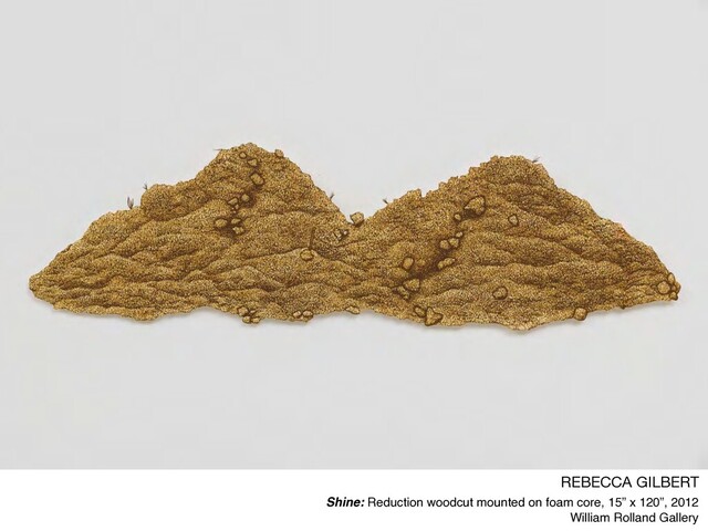 REBECCA GILBERT

Shine: Reduction woodcut mounted on foam core, 15” x 120”, 2012
William Rolland Gallery
