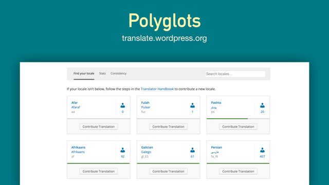Polyglots
translate.wordpress.org
