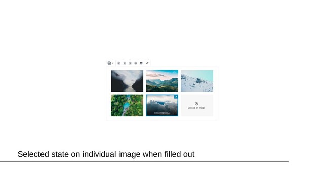 Selected state on individual image when filled out
