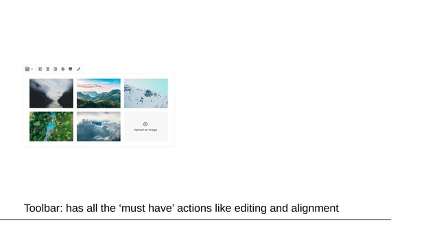 Toolbar: has all the ‘must have’ actions like editing and alignment
