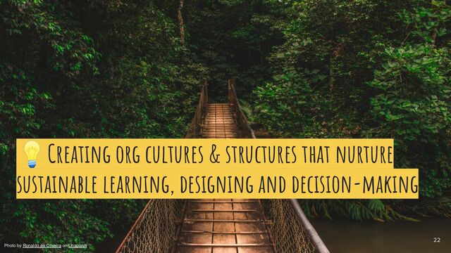 22
💡Creating org cultures & structures that nurture
sustainable learning, designing and decision-making
Photo by Ronaldo de Oliveira on Unsplash
22
