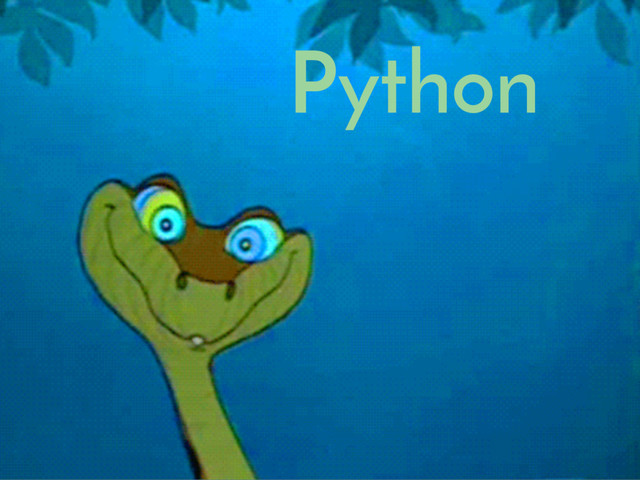 Python
