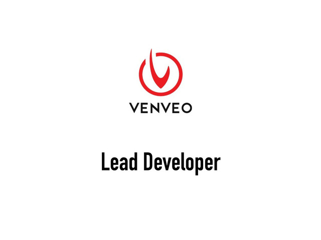 Lead Developer
