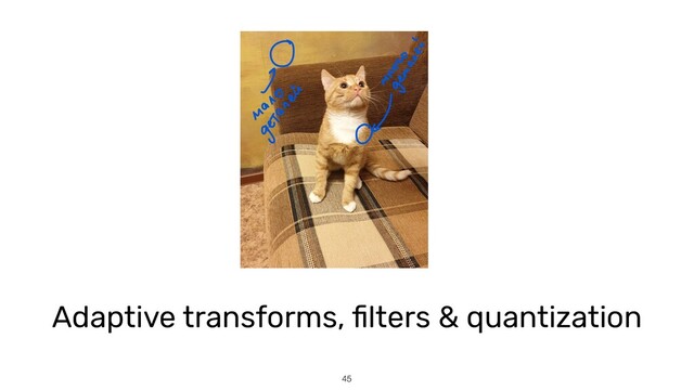 45
Adaptive transforms,
fi
lters & quantization


