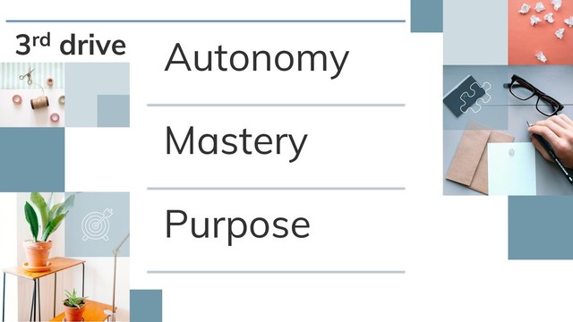 3rd drive Autonomy
Mastery
Purpose
