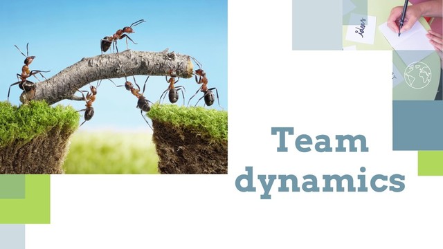 Team
dynamics
