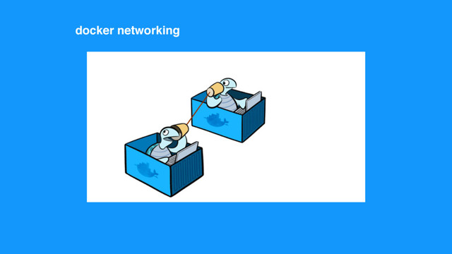 docker networking

