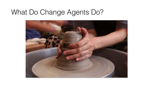 What Do Change Agents Do?

