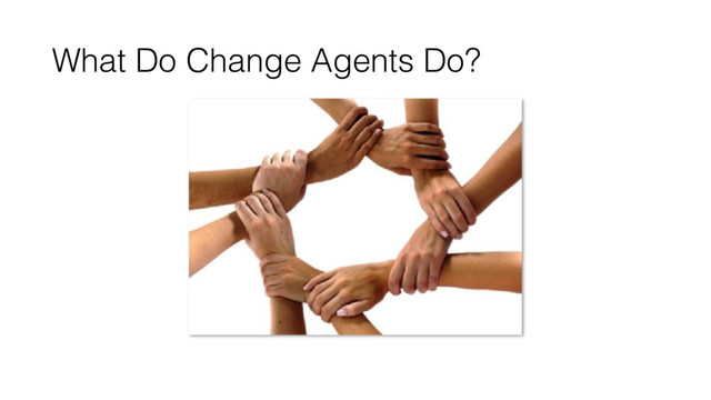 What Do Change Agents Do?
