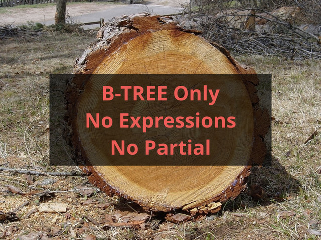 B-TREE Only
No Expressions
No Partial
