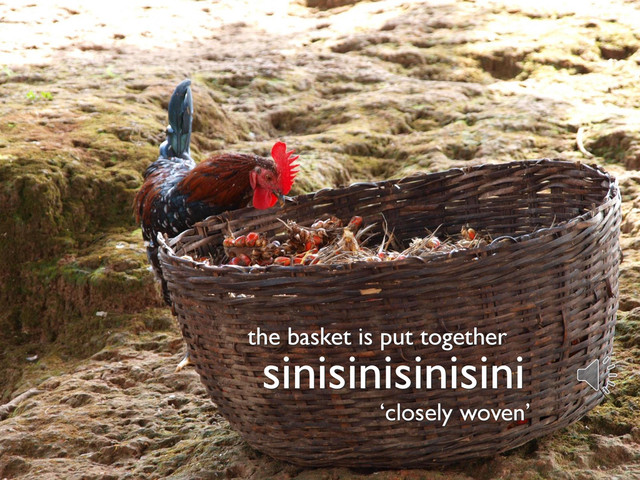 sinisinisinisini
the basket is put together
‘closely woven’
