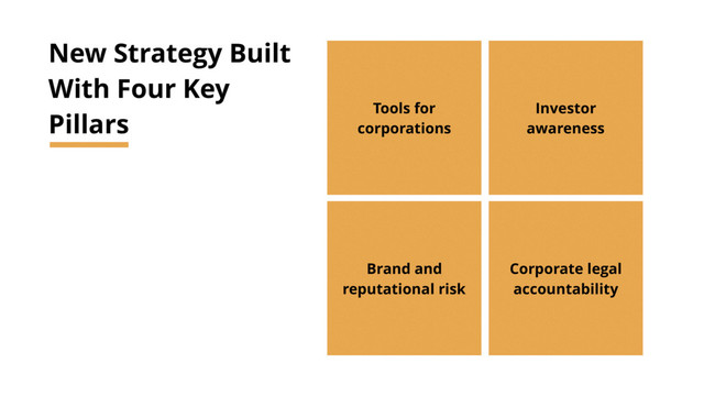 New Strategy Built
With Four Key
Pillars Tools for
corporations
Investor
awareness
Brand and
reputational risk
Corporate legal
accountability
