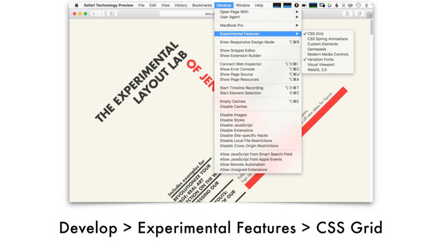 Develop > Experimental Features > CSS Grid
