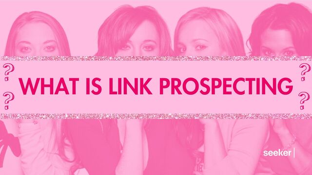 WHAT IS LINK PROSPECTING
