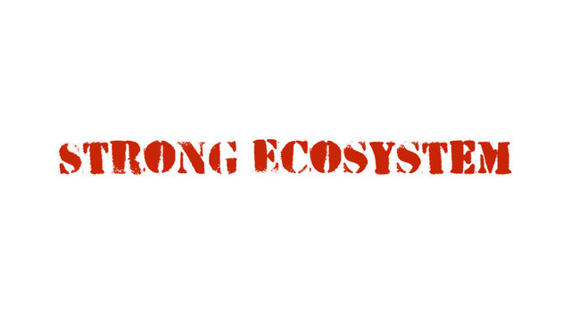 Strong Ecosystem
