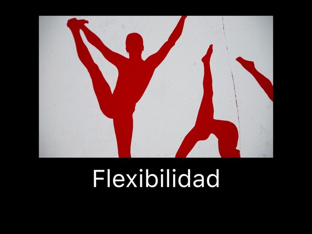 Flexibilidad
