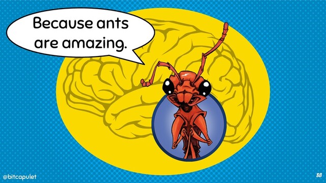 @bitcapulet
@bitcapulet 38
Because ants
are amazing.
