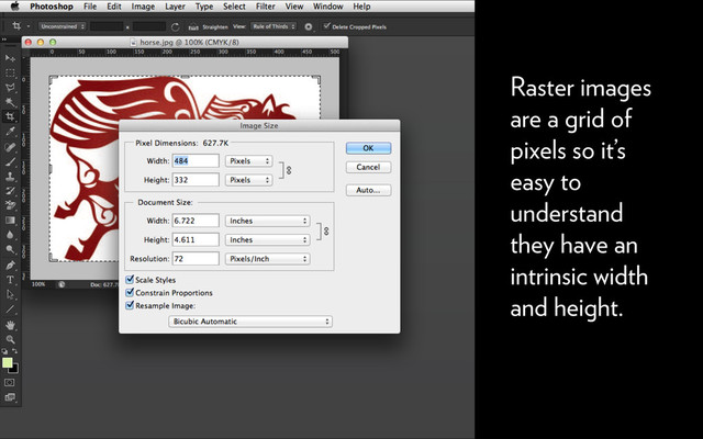 Raster images
are a grid of
pixels so it’s
easy to
understand
they have an
intrinsic width
and height.
