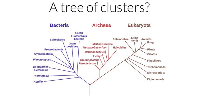 A tree of clusters?
