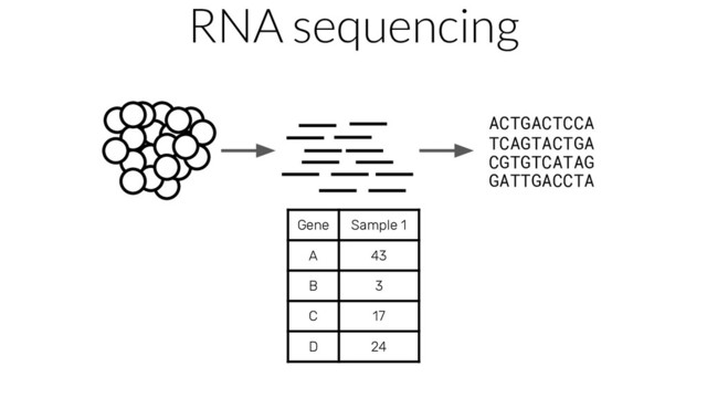 ACTGACTCCA
TCAGTACTGA
CGTGTCATAG
GATTGACCTA
Gene Sample 1
A 43
B 3
C 17
D 24
RNA sequencing
