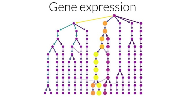 Gene expression
