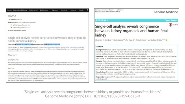 “Single-cell analysis reveals congruence between kidney organoids and human fetal kidney”
Genome Medicine (2019) DOI: 10.1186/s13073-019-0615-0
