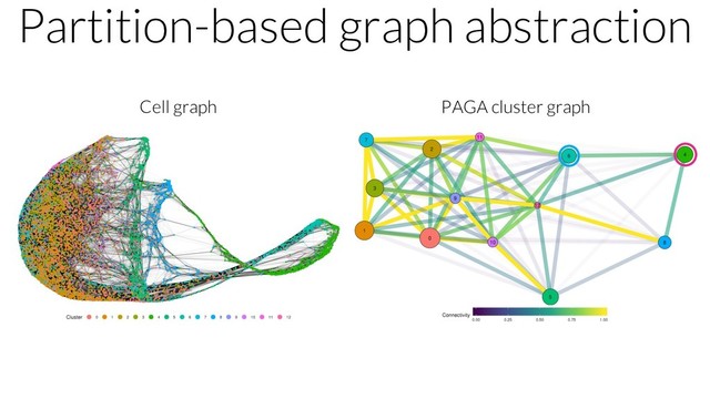 Partition-based graph abstraction
Cell graph PAGA cluster graph
