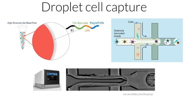 mccarrolllab.com/dropseq/
Droplet cell capture
