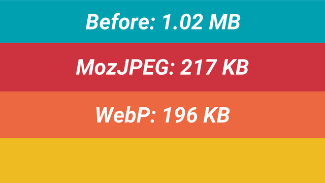 Before: 1.02 MB
MozJPEG: 217 KB
WebP: 196 KB
