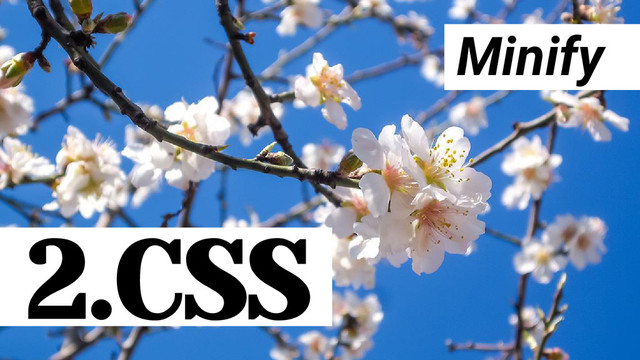 Minify
2.CSS
