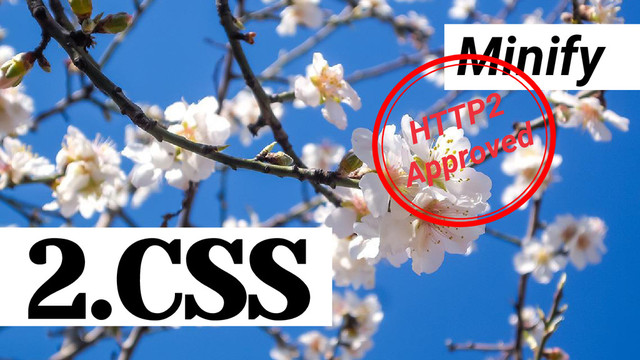 Minify
2.CSS
HTTP2
Approved
