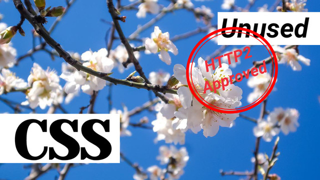 CSS
Unused
HTTP2
Approved
