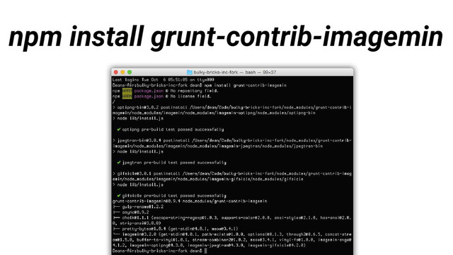 npm install grunt-contrib-imagemin
