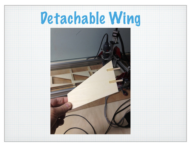 Detachable Wing
