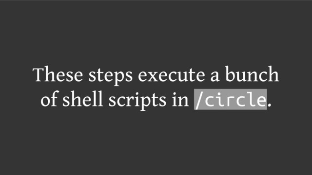 These steps execute a bunch
of shell scripts in /circle.
