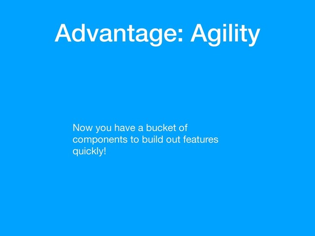 Advantage: Agility
Now you have a bucket of
components to build out features
quickly!

