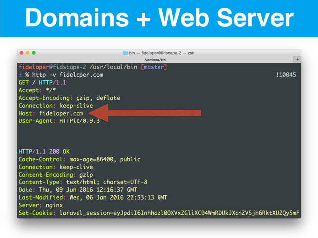 Domains + Web Server
