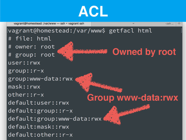 ACL
Owned by root
Group www-data:rwx
