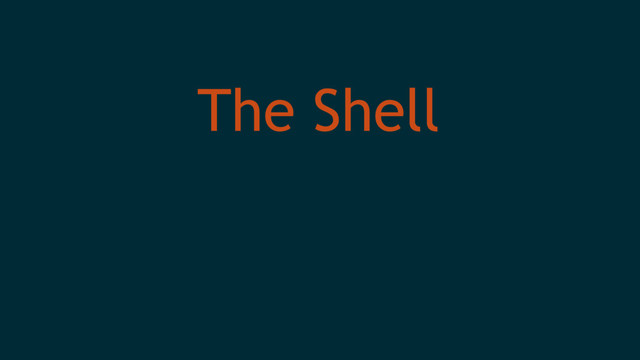 The Shell
