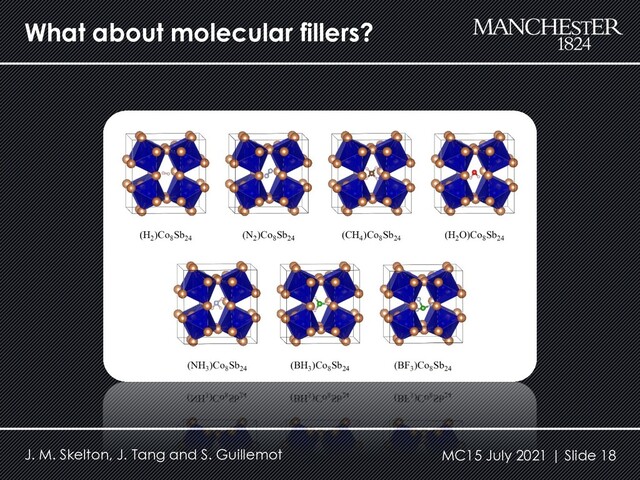 What about molecular fillers?
J. M. Skelton, J. Tang and S. Guillemot MC15 July 2021 | Slide 18
