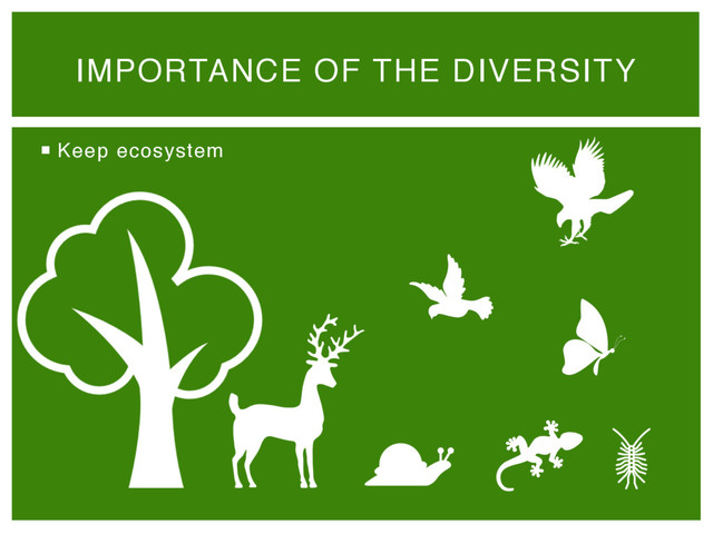¡  Keep ecosystem
IMPORTANCE OF THE DIVERSITY 
