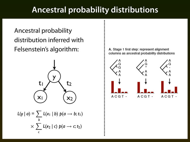 Ancestral probability distributions
Ancestral probability
distribution inferred with
Felsenstein’s algorithm:
A
G
G
A
A
A C G T -
A
G
-
A
A
A C G T -
A
G
*
A
A
A. Stage 1 ﬁrst step: represent alignment
columns as ancestral probability distributions
A C G T -
y
x1
t1 t2
x2
L(y | a) =
b
L(x1
| b) p(a ⇥ b; t1
)
c
L(x2
| c) p(a ⇥ c; t2
)
Q =
⇧
⇧
⇤
- a b c
d - e f
g h - i
⇥
⌃
⌃
⌅
b) p(a ⇥ b; t1
)
c
L(x2
| c) p(a ⇥ c; t2
)
- a b c
⇥
