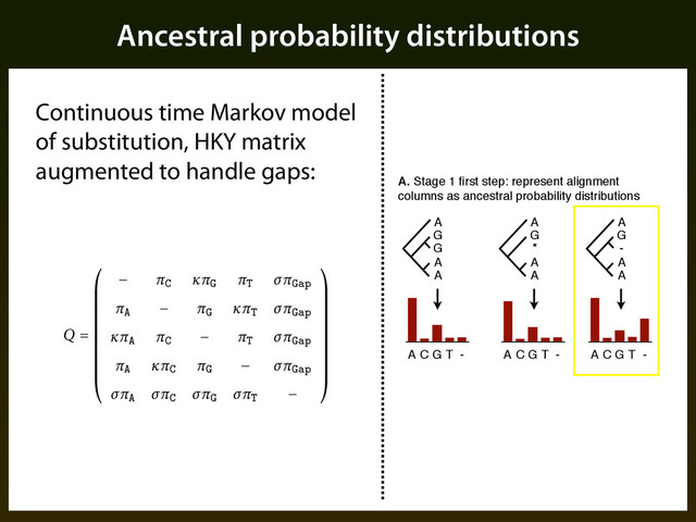 Ancestral probability distributions
A
G
G
A
A
A C G T -
A
G
-
A
A
A C G T -
A
G
*
A
A
A. Stage 1 ﬁrst step: represent alignment
columns as ancestral probability distributions
A C G T -
Continuous time Markov model
of substitution, HKY matrix
augmented to handle gaps:
nch of the phylogenetic tree. We assume a continuous time Markov process
rate matrix Q speci⇠es the instantaneous rate of each substitution event,
s the rates in Q through a smaller number of parameters. In particular,
parameterization provided by the HKY model of Hasegawa et al. (⌧ )
of equilibrium probabilities for each base (⌫ parameters; ⌅
A
, ⌅
C
, ⌅
G
, ⌅
T
),
io between the rates of transitions and transversions (⇧)%. We extend
to accommodate gaps as if they were a '(h nucleotide, introducing an
equilibrium probability (⌅
Gap
) and rate ratio (gaps to transversions ⌃),
e rate matrix:
Q =
⇤
⌥
⌥
⌥
⌥
⌥
⌥
⌥
⌥
⌥
⌥
⇧
⌅
C
⇧⌅
G
⌅
T
⌃⌅
Gap
⌅
A
⌅
G
⇧⌅
T
⌃⌅
Gap
⇧⌅
A
⌅
C
⌅
T
⌃⌅
Gap
⌅
A
⇧⌅
C
⌅
G
⌃⌅
Gap
⌃⌅
A
⌃⌅
C
⌃⌅
G
⌃⌅
T
⌅
⌃
ameters of Q are estimated using the Expectation Maximization algorithm
ed in the PHAST so⌧ware package (Siepel and Haussler, ), generally
d tree topology and a sample of genome-wide alignments.
