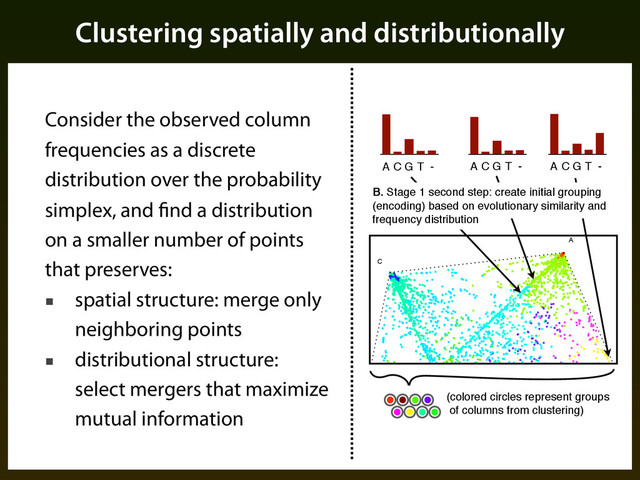 Clustering spatially and distributionally
Consider the observed column
frequencies as a discrete
distribution over the probability
simplex, and find a distribution
on a smaller number of points
that preserves:
■ spatial structure: merge only
neighboring points
■ distributional structure:
select mergers that maximize
mutual information
A C G T - A C G T -
A C G T -
●
●
●
●
●
●
●
●
●
●
●
●
●
●
● ●
●
●
●
●
●
●
●
●
●
●
●
●
●
●
●
● ●
●
●
●
●
●
●●
●
●
●
●
●
●
●
●
●
●
●
●
●
●
●
●
●
●
●
●
●
●
●
●
●
●
●
●
●
●
●
●
●
●
●
●
● ●
●
●
●
●
●
●
●
●
●
●
●
●
●
●
●
●
●
●
●
●
●
●
●
●
●
●
●
●
●
●
●
●
●
●
●
●
●
●
●
●
●
●
●
● ●
●
●
●
●
● ●
●
●
●
●
●
●
●
●
●
●
●
●
●
●
●
●
●
●
●
●
●
●
●
●
●
●
●
●
●
●
●
●
●
●
●
●
●
●
●
●
●
●
●
●
●
●
●
●
●
●
●
●
●
●
●
●
●
●
●
●
●
●
●
●
●
●
●
●
●
●
●
●
●
●
●
●
●
●
●
●
●
●
●
●
●
●
●
●
●
●
●
●
●
●
●
●
●
●
●
●
●
●
●
●
●
●
●
●
●
●
●
●
●
●
●
●
●
●
●
●
●
●
●
●
●
●
●
●
●
●
● ●
●
●
●
●
●
●
●
●
●
●
●
●
●
●
●
●
●
●
●
●
●
●
●
●
●
●
●
●●
●
●
●
●
●
●
●
●
●
●
●
●
●
●
●
●
●
●
●
●
●
●
●
●
●
●
●
●
●
●
●
●
●
●
●
●
●
●
●
●
●
●
●
●
●
●
●
●
●
●
●
●
●
●
●
●
●
●
●
●
●
●
●
●
●
●
●
●
●
●
●
●
●
●
●
●
●
●
●
●
●
●
●
●
●
●
●
●
●
●
●
●
●
●
●
●
●
●
●
●
●
●
●
●
●
●
●
●
●
●
●
●
●
●
●
●
●
●
●
●
●
●
●
●
●
●
●
●
●
●
●
●
●
●
●
●
●
●
● ●
●
●
●
●
●
●
●
●
●
●
●
●
●
●
●
●
●
●
●
●
●
●
●
●
●
●
●
●
●
●
●
●
●
●
●
●
●
●
●
●
●
●
●
●
●
●
●
●
●
●
●
●
●
●
●
●
●
● ●
●
●
●
●
●
●
●
●
●
●
●
●
●
●
●
●
●
●
●
●
●
●
●
●
●
●
●
●
●
●
●
●
●
●
●
●
●
●
●
●
●
●
●
●
●
●
●
●
●
●
●
●
●
●
●
●
●
●
●
●
●
● ●
●
●
●
●
●
●
●
●
●
●
●
●
●
●
●
●
●
● ●
●
●
●
●
●
●
●
●
●
●
●
●
●
●
●
●
●
●
●
●
●
●
●
●
●
●
●●
●
●
●
●
●
●
●
●
●
●
●
●
●
●
●
●
●
●
●
●
●
●
●
●
●
●
●
●
●
●
●
●
●
●
●
●
●
●
●
●
●
●
●
●
●
●
●
●
●
●
●
●
●
●
●
●
●
●
●
●
●
●
●
●
●
● ●
●
●
●
●
●
●
●
●
●
●
●
●
●
●
●
●
●
●
●
●
●
●
●
●
●
●
●
●
●
●
●
●
●
●
●
●
●
●
●
●
●
●
●
●
●
●
●
●
●
●
●
●
●
●
●
●
●
●
●
●
●
●
●
●
●
●
●
●
●
●
●
●
●
●
●
●
●
●
●
●
●
●
●
●
●
●
●
●
●
●
●
●
●
●
●
●
●
●
●
●
●
●
●
●
●
●
●
●
●
●
●
●
●
●
●
●
●
●
●
●
●
●
●
●
●
●
●
●
●
●
●
●
●
●
●
●
●
●
●
●
●
●
●
●
●
●
●
●
●
●
●
●
●
●
●
●
●
●
●
●
●
●
●
●
●
●
●
●
●
●
●
●
●
●
●
●
●
●
●
●
●
●
●
●
●
●
●
●
●
●
●
●
●
●
●
●
●
●
●
●
●
●
●
●
●
●
●
●
●
●
●
●
●
●
●
●
●
●
●
●
●
●
●
●
●
●
●
●
●
●
●
●
●
●
●
●
●
● ●
●
●
●
●
●
●
●
●
●
●
●
●
●
●
●
●
●
●
●
●
●
●
●
●
●
●
●
●
●
●
●
●
●
●
●
●
●
●
●
●
●
●
●
●
●
●
●
●
●
●
●
●
●
●
●
●
● ●
●
●
●
●
●
●
●
●
●
●
●
●
●
●
●
●
●
●
●
●
●
●
●
●
●
●
●
●
●
●
●
●
●
●
●
●
●
●
●
●
●
●
●
●
●
●
●
●
●
●
●
●
●
●
●
●
●
●
●
●
●
●
●
●
●
●
●
●
●
●
●
●
●
●
●
●
●
●
●
●
●
●
●
● ●
●
●
●
●
●
●
●
●
●
●
●
●
●
●
●
●
●
●
●
●
●
●
●
●
●
●
●
●
●
●
●
●
●
●
●
●
●
●
●
●
●
●
●
●
●
●
●
●
●
●
●
●
●
●
●
●
●
●
●
●
●
●
●
●
●
●
●
●
●
●
●
●
●
●
●
●
●
●
●
●
●
●
●
●
●
●
●
●
●
●
●
●
●
●
●
●
●
●
●
●
●
●
●
●
●
●
●
●
●
●
●
●
●
●
●
●
●
●
●
●
●
●
●
●
●
●
●
●
●
●
●
●
●
●
●
●
●
●
●
●
●
●
●
●
●
●
●
●
●
●
●
●
●●
●
●
●
●
●
●
●
●
●
●
●
●
●
●
●
●
●
●
●
●
●
●
●
●
●
●
●
●
●
●
●
●
●
●
●
●
●
●
●
●
●
●
●
●
●
●
●
●
●
●
●
●
●
●
●
●
●
●
●
●
●
●
●
●
●
●
●
●
●
●
●
●
●
●
●
●
●
●
●
●
●
●
●
●
●
●
●
●
●
●
●
●
●
●
●
●
●
●
●
●
●
●
●
●
●
●
●
●
●
●
●
●
●
●
●
●
●
●
●
●
●
●
●
●
●
●
●
●
●
●
●
●
●
● ●
●
●
●
●
●
●
●
●
●
●
●
●
●
●
●
●
●
●
●
●
● ●
●
●
●
●
●
● ●
●
●
●
●
●
●
●
●
●
●
●
●
●
●
●
●
●
●
●
●
●
●
●
●
●
●
●
●
●
●
●
●
●
●
●
●
●
●
●
●
●●
●
●
●
●
●
●
●
●
●
●
●
●
●
●
●
●
●
●
●
●
●
●
● ●
●
●
●
●
● ●
●
●
●
●
●
●
●
●
●
●
●
●
●
●
●
●
●
●
●
●
●
●
●
●
●
●
●
●
●
●
●
●
●
●
●
●
●
●
●
●
●
●
●
●
●
●
●
●
●
●
●
●
●
●
●
●
●
●
●
●
●
●
●
●
●
●
●
●
●
●
●
●
●
●
●
●
●
●
●
●
●
●
●
●
●
●
●
●
●
●
●
●
●
●
●
●
●
●
●
●
●
●
●
●
●
●
●
●
●
●
●
●
●
●
●
●
●
●
●
●
●
●
●
●
●
●
●
●
●
●
●
●
●
●
●
●
●
●
●
●
●
●
●
●
●
●
●
●
●
●
●
●
●
●
●
●
●
●
●
●
●
●
●
●
●
●
●
●
●
●
●
●
●
●
●
●
●
●
●
●
●
●
●
●
●
●
●
●
●
●
●
●
●
●
●
●
●
●
●
●
●
● ●
●
●
●
●
●
●
●
●
●
●
●
●
●
●
●
●
●
●
●
●
●
●
●
●
●
●
●
●
●
●
●
●
●
●
●
●
●
●
●
●
●
●
●
●
●
●
●
●
●
●
●
●
●
●
●
●
●
●
●
●
●
●
●
● ●
●
●
●
●
●
●
●
●
●
●
●
●
●
●
●
●
●
●
●
●
●
●
●
●
●
●
●
●
●
●
●
●
●
●
●
●
●
●
●
●
●
●
●
●
●
●
●
●
●
●
●
●
●
●
●
●
●
●
●
●
●
●
●
●
●
●
●
●
●
●
●
●
●
●
●
●
●
●
●
●
●
●
●
●
●
●
●
●
●
●
●
●
●
●
●
●
●
●
●
●
●
●
●
●
●
●
●
●
●
● ●
●
●
●
●
●
●
●
●
●
●
●
●
●
●
●
●
●
●
●
●
●
●
●
●
●
●
●
●
●
●
●
●
●
●
●
●
●
●
●
●
●
●
●
●
●
●
●
●
●
●
●
●
●
●
●
●
●
●
●
●
●
● ●
●
●
●
●
●
●
●
●
●
●
●
●
●
●
●
●
●
●
●
●
●
●
●
●
●
●
●
●
●
●
●
●
●
●
●
●
●
●
●
●
●
●
●
●
●
●
●
●
● ●
●
●
●
●
●
●
●
●
●
●
●
●
●
●
●
●
●
●
●
●
●
●
●
●
●
●
●
●
●
●
●
●
●
●
●
●
●
●
●
●
●
●
●
●
●
●
●
●
●
●
●
●
●
●
●
●
●
●
●
●
●
●
●
●
●
●
●
●
●
●
●
●
●
●
●
●
●
●
●
●
●
●
●
●
●
●
●
●
●
●
●
●
●
●
●
●
●
●
●
●
●
●
●
●
●
●
●
●
●
●
●
●
●
●
●
●
●
●
●
●
●
●
●
●
●
●
●
●
●
●
●
●
●
●
●
●
●
●
●
●
●
●
●
●
●
●
●
●
●
● ●
●
●
●
●
●
●
●
●
●
●
●
●
●
●
●
●
●
●
●
●
●
●
●
●
●
●
●
●
●
●
●
●
●
●
●
●
●
●
●
●
●
●
●
●
●
●
●
●
●
●
●
●
●
●
●
●
●
●
●
●
●
●
●
●
●
●
●
●
●
●
●
●
●
●
●
●
●
●
●
●
●
●
●
●
●
●
●
●
●
●
●
●
●
●
●
●
●
●
●
●
●
●
●
●
●
●
●
●
●
●
●
●
●
●
●
●
●
●
●
●
●
●
●
●
●
●
●
●
●
●
●
●
●
●
●
●
●
●
●
●
●
●
●
●
●
●
●
●
●
●
●
●
●
●
●
●
●
●
●
●
●
●
●
●
●
●
●
●
●
●
●
●
●
●
●
●
●
●
●
●
●
●
●
●
●
●
●
●
●
●
●
●
●
●
●
●
●
●
●
●
●
●
●
●
●
●
●
●
●
●
●
●
●
●
●
●
●
●
●
●
●
●
●
●
●
●
●
●
●
●
●
●
●
●
●
●
●
●
●
●
●
●
●
●
●
●
●
●
●
●
●
●
●
●
●
●
●
●
●
●
●
●
●
●
●
●
●
●
●
●
●
●
●
●
●
●
●
●
●
●
●
●
●
●
●
●
●
●
●
●
●
●
●
●
●
●
●
●
●
●
●
●
●
●
●
●
●
●
●
●
●
●
●
●
●
●
●
●
●
●
●
●
●
●
●
●
●
●
●
●
●
●
●
●
●
●
●
●
●
●
●
●
●
●
●
●
●
●
●
●
●
●
●
●
●
●
●
●
●
●
●
●
●
●
●
●
●
●
●
●
●
●
●
●
●
●
●
●
●
●
●
●
●
●
●
●
●
●
●
●
●
●
●
●
●
●
●●
●
●
●
●
●
●
●
●
●
●
●
●
●
●
●
●
●
●
●
●
●
●
●
●
●
●
●
●
●
●
●
●
●
●
●
●
● ●
●
●
●
●
●
●
●
●
●
●
●
●
●
●
●
●
●
●
●
●
●
●
●
●
●
●
●
●
●
●
●
●
●
●
●
●
●
●
●
●
●
●
●
●
●
●
●
●
●
●
●
●
●
●
●
●
●
●
●
●
●
●
●
●
●
●
●
●
●
●
●
●
●
●
●
●
●
●
●
●
●
●
●
●
●
●
●
●
●
●
●
●
●
●
●
●
● ●
●
●
●
●
●
●
●
●
●
●
●
●
●
●
●
●
●
●
●
●
●
●
●
●
●
●
●
●
●
●
●
●
●
●
●
●
●
●
●
●
●
●
●
●
●
●
●
●
●
●
●
●
●
●
●
●
●
●
●
●
●
●
●
●
●
●
●
●
●
●
●
●
●
●
●
●
●
●
●
●
●
●
●
●
●
●
●
●
●
●
●
●
●
●
●
●
●
●
●
●
●
●
●
●
●
●
●
●
●
●
●
●
●
●
●
●
●
●
●
●
●
●
●
●
●
●
●
●
●
●
●
●
●
●
●
●
●
●
●
●
●
●
●
●
●
●
●
●
●
●
●
●
●
●
●
●
●
●
●
●
●
●
●
●
●
●
●
●
●
●
●
●
●
●
● ●
●
●
●
●
●
●
●
●
●
●
●
●
●
●
●
●
●
●
●
●
●
●
●
●
●
●
●
●
●
●
●
●
●
●
●
●
●
●
●
●
●
●
●
●
●
●
●
●
●
●
●
●
●
●
●
●
●
●
●
●
●
●
●
●
●
●
●
●
●
●
●
●
●
●
●
●
●
●
●
●
●
●
●
●
●
●
●
●
●
●●
●
●
●
●
●
●
●
●
●
●
●
●
●
●
●
●
●
●
●
●
●
●
●
●
●
●
●
●
●
●
●
●
●
●
●
●
●
●
●
●
●
●
●
●
●
●
●
●
●
●
●
●
●
●
●
●
●
●
●
●
●
●
●
●
●
●
●
●
●
●
●
●
●
●
●
●
●
●
●
●
●
●
●
●●
●
●
●
●
●
●
●
●
●
●
●
●
●
●
●
●
●
●
●
●
●
●
●
●
●
●
●
●
●
●
●
●
●
●
●
●
●
●
●
●
●
●
●
●
●
●
●
●
●
●
●
●
●
●
●
●
●
●
●
● ●
●
●
●
●
●
●
●
●
●
●
●
●
●
●
●
●
●
●
●
●
●
● ●
●
●
●
●●
●
●
●
●
●
●
●
●
●
●
●
●
●
●
●
●
●
●
●
●
●
●
●
●
●
●
●
●
●
●
●
●
●
●
●
●
●
●
●
●
●
●
●
●
●
●
●
●
●
●
●
●
●
●
●
●
●
●
●
●
●
●
●
●
●
●
●
●
●
●
●
●
●
●
●
●
●
●
●
●
●
●
●
●
●
●●
●
●
●
●
●
●
●
●
●
●
●
●
●
●
●
●
●
●
●
●
●
●
●
●
●
●
● ●
●
●
●
●
●
●
●
●
●
●
●
●
●
●
●
●
●
●
●
●
●
●
●
●
●
●
●
●
●
●
●
●
●
●
●
●
●
●
●
●
●
●
●
●
●
●
●
●
●
●
●
●
●
●
●
●
●
●
●
●
●
●
●
●
●
●
●
●
●
●
●
●
●
●
●
●
●
●
●
●
●
●
●
●
●
●
●
●
●
●
●
●
●
●
●
● ●
●
●
●
●
●
●
●
●
●
●
●
●
●
●
●
●
●
●
●
●
●
●
●
●
●
●
●
●
●
●
●
●
●
●
●
●
●
●
●
●
●
●
●
●
●
●
●
●
● ●
●
●
●
●
●
●
●
●
●
●
●
●
●
●
●
●
●
●
●
●
●
●
●
●
●
●
●
●
●
●
●
●
●
●
●
●
●
●
●
●
●
●
●
●
●
●
●
●
●
●
●
●
● ●
●
●
●
●
●
●
●
●
●
●
● ●
●
●
●
●
●
●
●
●
●
●
●
●
●
●
●
●
●
●
●
●
●
●
●
●
●
●
●
●
●
●
●
●
●
●
●
●
●
●●
●
●
●
●
●
●
●
●
●
●
●
●
●
●
●
●
●
●
●
●
●
●
●
●
●
●
●
●
●
●
●
●
●
●
●
●
●
●
●
●
●
●
●
●
●
●
●
●
●
● ●
●
●
●
●
●
●
●
●
●
●
●
●
●
●
●
●
●
●
●
●
●
●
●
●
●
●
●
●
●
●
●
●
●
●
●
●
●
●
● ●
●
●
●
●
●
●
●
●
●
●
●
●
●
●
●
●
●
●
●
●
●
●
●
●●
●
●
●
●
●
●
●
●
●
●
●
●
●
●
●
●
●
●
●
●
●
●
●
●
●
●
●
●
●
●
●
●
●
●
●
●
●
●
●
●
●
●
●
●
●
●●
●
●
●
●
●
●
●
●
●
●
●
●
●
●
●
●
●
●
●
●
●
●
●
●
●
●
●
●
●
●
●
●
●
●
●
●
●
●
●
●
●
●
●
●
●
●
●
●
●
●
●
●
●
●
●
●
●
● ●
●
●
●
●
●
● ●
●
●
●
●
●
●
●
●
●
●
●
●
●
●
●
●
●
●●
●
●
●
●
● ●
●
●
●
●
●
●
●
●
●
●
●
●
●
●
●
●
●
●
●
●
●
●
●
●
●
●
●
●
●
●
●
●
●
●
●
●
●
●
●
●
●
●
●
●
●
●
●
●
●
●
●
●
●
●
●
●
●
●
●
● ●
●
●
●
●
●
●
●
●
●
●
●
●
●
●
●
●
●
●
●
●
●
●
●
●
●
●
●
●
●
●
●
●
●
●
●
●
●
●
●
●
●
●
●
●
●
●
●
●
●
●
●
●
●
●
●
●
●
●
●
●
●
●
●
●
●
●
●
●
●
●
●
●
●
●
●
●
●
●
●
●
●
●
●
●
●
●
●
●
●
●●
●
●
●
●
●
●
●
●
●
●
●
●
●
●
●
●
●
●
●
●
●
●
●
●
●
●
●
●
●
●
●
●
●
●
●
●
●
●
●
●
●
●
●
●
●
● ●
●
●
●
●
●
●
●
●
●
●
●
●
●
●
●
●
●
●
●
●
●
●
●
●
●
●
●
●
●
●
●
●
●
●
●
● ●
●
●
●
●
●
●
●
●
●
●
●
●
●
●
●
●
●
●
●
●
●
●
●
●
●
●
● ●
●
●
●
●
●
●
●
●
●
●
●
●
●
●
●
●
●
●
●
●
●
●
●
●
●
●
●
●
●
●
●
●
●
●
● ●
●
●
●
●
●
●
●
●
●
●
●
●
●
●
●
●
●
●
●
●
●
●
●
●
●
●
●
●
●
●
●
●
●
●
●
●
●
●
●
●
●
●
●
●
●
●
●
●
●
●
●
●
●
●
●
●
●
● ●
●
●
●
●
● ●
●
●
●
●
●
●
●
●
●
●
●
●
●
●
●
●
●
●
●
●
●
●
●
●
●
●
●
● ●
●
●
●
●
●
●
●
●
●
●
●
●
●
●
●
●
●
●
●
●
●
●
●
●
●
●
●
●
● ● ●
●
●
●
●
●
●
●
●
●
●
●
●
●
●
●
●
●
●
●
●
●●
●
●
●
●
●
●
●
●
●
●
●
●
●
●
●
●
●
●
●
●
●
●
●
●
●
●
●
●
●
●
●
●
●
●
●
●
●
●
●
●
●
●
●
●
●
●
●
●
●
●
●
●
●
● ●
●
●
●
●
●
●
●
●
●
●
●
●
●
●
●
●
●
●
●
●
●
●
●
●
●
●
●
●
●
●
●
●
●
●
●
●
●
●
●
●
●
●
●
●
●
●
●
●
●
●
●
●
●
●
●
●
●
●
●
●
●
●
●
●
●
●
●
●
●
●
●
●
●
●
●
●
●
●
●
●
●
● ●
●
●
●
●
●
●
●
●
●
●
●
●
●
●
●
●
●
●
●
●
●
●
●
●
●
●
●
●
●
●
●
●
●
●
●
●
●
●
●
●
●
●
●
●
●
● ●
●
●
●
●
●
●
●
●
●
●
●
●
●
●
●
●
●
●
●
●
●
●
●
●
●
●
●
●
●
●
●
●
●
●
●
●
●
●
●
●
●
●
●
●
●
●
●
●
●
●
● ● ●
●
●
●
●
●
●
●
●
●
●
●
●
●
●
●
●
●
●
●
●
●
●
●
●
●
●
●
●
●
●
●
●
●
●
●
●
●
●
●
●
●
●
●
●
●
●
●
●
●
●
●
●
●
●
●
●
●
●
●
●
●
●
●
●
●
●
●
●
●
●
●
●
●
●
●
●
●
●
●
●
●
●
●
●
●
●
●
●
●
●
●
●
●
●
●
●
●
●
●
●
●
●
●
●
●
●
●
●
●
●
●
●
●
● ●
●
●
●
●
●
●
●
●
●
●
●
●
●
●
●
●
● ●●
●
●
●
●
●
● ●
●
●
●
●
●
●
●
●
●
●
●
●
●
●
●
●
●
●
●
●
●
●
●
●
●
●
●
●
● ●
●
●
●
●
●
●
●
●
●
●
●
●
●
●
●
●
●
●
●
●
●
●
●
●
●
●
●
●
●
●
●
●
●
●
●
●
●
●
●
●
●
●
●
●
●
●
●
●
●
●
●
●
●
●
●
●
●
●
●
●
●
●
●
●
●
●
●
●
●
●
●
●
●
●●
●
● ●
●
●
●
●
●
●
●
●
●
●
●
●
●
●
●
●
●
●
●
●
●
●
●
●
●
●
●
●
●
●
●
●
●
●
●
●
●
●
●
●
●
●
●
●
●
●
●
●
●
●
●
●
●
●
●
●
●
●
●
●
●
●
●
●
●
●
●
●
●
●
●
●
●
●
●
●
●
●
●
●
●
●
●
●
●
●
●
●
●
●
●
●
●
●
●
●
●
●
●
●
●
●
●
●
●
●
●
●
●
●
●
●
●
●
●
●
●
●
●
●
●
●
●
●
●
●
●
●
●
●
●
●
●
●
●
●
●
●
●
●
●
●
●
●
●
●
●
●
●
●
●
●
●
●
●
●
●
●
●
●
●
●
●
●
●
●
●
●
●
●
●
●
●
●
●
●
●
●
●
●
●
●
●
●
●
●
●
●
●
●
●
●
●
●
●
●
●
●
●
●
●
●
●
●
●
●
●
●
●
●
●
●
●
●
●
●
●
●
●
●
●
●
●
●
●
●
●
●
●
●
●
●
●
●
●
●
●
●
●
●
●
●
●
●
●
●
●
●
●
●
●
●
●
●
●
● ●
●
●
●
●
●
●
●
●
●
●
●
●
●
●
●
●
●
●
●
●
●
●
●
●
●
●
●
●
●
●
●
●
●
●
●
●
●
●
●
●
●
●
●
●
●
●
●
●
●
●
●
●
●
●
●
●
●
● ●
●
●
●
●
●
●
●
●
●
●
●
●
●
●
●
●
●
●
●
●
●
●
●
●
●
●
●
●
●
●
●
●
●
●
●
●
●
●
●
●
●
●
●
●
●
●
●
●
●
●
●
●
●
●
● ●
●
●
●
●
●
●
●
●
●
●
●
●
●
●
●
●
●
●
●
●
●
●
●
●
●
●
●
●
●
●
●
● ●
●
●
●
●
●
●
●
●
●
●
●
●
●
●
●
●
●
●
●
●
●
●
●
●
●
●
●
●
●
●
●
●
●
●
●
●
●
●
●
●
●
●
●
●
●
●
●
●
●
●
●
●
●
●
●
●
●
●
●
●
●
●
●
●
●
●
●
●
●
●
●
●
●
●
●
●
●
●
●
●
●
●
●
●
●
●
●
●
●
●
●
●
●
●
●
●
●
●
●
●
●
●
●
●
●
●
●
●
●
●
●
●
●
●
●
●
●
●
●
●
●
●
●
●
●
●
●
●
●
●
●
● ●
●
●
●
●
●
●
●
●
●
●
●
●
●
●
●
●
●
●
●
●
●
●
●
●
●
●
●
●
●
●
●
●
●
●
●
●
●
●
●
●
●
●
●
●
●
●
●
●
●
●
●
●
●
●
●
●
●
●
●
●
●
●
●
●
●
●
●
●
●
●
●
●
●
●
●
●
● ●
●
●
●
●
●
●
●
●
●
●
●
●
●
●
●
●
●
●
●
●
●
●
●
●
●
●
●
●
●
●
●
●
●
●
●
●
●
●
●
●
●
●
●
●
●
●
●
●
●
●
●
●
●
●
●
●
●
●
●
●
●
●
●●
●
●
●
●
●
●
●
●
●
●
●
●
●
●
●
●
●
●
●
●
●
●
●
●
●
●
●
●
●
●
●
●
●
●
●
●
●
●
●
●
●
●
●
●
●
●
●
●
●
●
●
●
●
●
●
●
●
●
●
●
●
●
●
●
●
●
●
●
●
●
●
●
●
●
●
●
●
●
●
●
●
●
●
●
●
●
●
● ●
●
●
●
●
●
●
●
●
●
●
●
●
●
●
●
●
●
●
●
●
●
●
●
●
●
●
●
●
●
●
●
●
●
●
●
●
●
●
●
●
●
●
●
●
●
●
●
●
●
●
●
●
●
●
●
●
●
●
●
●
●
●
●
●
●
●
●
●
●
●
●
●
●
●
●
●
●
●
●
●
●●
●
●
●
●
●
●
●
●
●
●
●
●
●
●
●
●
●
●
●
●
●
●
●
●
●
●
●
●
●
●
●
●
●
●
●
●
●
●
●
●
●
●
●
●
●
●
●
●
●
●
●
●
●
●
●
●
●
●
●
●
●
●
●
●
●
●
●
●
●
●
●
●
●
●
●
●
●
●
●
●
●
●
●
●
●
●
●
●
●
●
●
●
●
●
●
●
●
●
●
●
●
●
●
●
●
●
●
●
●
●
●
●
●
●
●
●
●
●
●
●
●
●
●
●
●
●
●
●
●
●
●
●
●
●
●
●
●
●
●
●
●
●
●
●
●
●
●
●
●
●
●
●
●
●
● ●
●
●
●
●
●
●
●
●
●
●
●
●
●
●
● ●
●
●
●
●
●
●
●
●
●
●
●
●
●
●
●
●
●
●
●
●
●
●
●
●
●
●
●
●
●
●
●
●
●
●
●
●
●
●
●
●
●
●
●
●
●
●
● ●
●
●
●
●
●
●
●
●
●
●
●
●
●
●
●
●
●
●
●
●
●
●
●
●
●
●
●
●
●
●
●
●
●
●
●
●
●
●
●
●
●
●
●
●
●
●
●
●
●
●
●
●
●
●
●
●
●
●
●
●
●
●
●
●
●
●
●
●
●
●
●
●
●
●
●
●
●
●
●
●
●
●
●
●
●
●
●
●
●
●
●
●
●
● ●
●
●
●●
●
●
●
●
●
●
●
●
●
●
●
●
●
●
●
●
●
●
●
●
●
●
●
●
●
●
●
●
●
●
●
●
●
●
●
●
●
●
●
●
●
●
●
●
●
●
●
●
●
●
●
●
●
●
●
●
●
●
●
●
●
●
●
●
●
●
●
●
●
●
●
●
●
●
●
●
●
●
●
●
●
●
●
●
●
●
●
●
●
●
●
●
●
●
●
●
●
●
●
●
●
●
●
●
●
●
●
● ●
●
●
●
●
●
●
●
●
●
●
●
●
●
●
●
●
●
●
●
●
●
●
●
●
●
●
●
●
●
●
●
●
●
●
●
●
●
●
●
●
●
●
●
●
●
●
●
●
●
●
●
●
●
●
●
●
●
●
●
●
●
●
●
●
●
●
●
●
●
●
●
●
●
●
●
●
●
●
●
●
●
●
●
●
●
●
●
●
●
●
●
●
●
●
●
●
●
●
●
●
●
●
●
●
●
●
●
●
●
●
●
●
●
●
●
●
●
●
●
●
●
●
●
●
●
●
●
●
●
●
●
●
●
●
●
●
●
●
●
●
●
●
●
●
●
●
●
●
●
●
●
●
●
●
●
●
●
●
●
●
●●
●
●
●
●
●
●
●
●
●
●
●
●
●
●
●
●
● ●
●
●
●
●
●
●
●
●
●
●
●●
●
●
●
●
●
●
● ●
●
●
●
●
●
● ●
●
●
●
●
●
●
●
●
●
●
●
●
●
●
●
●
●
●
●
●
● ●
●
●
●
●
●
●
●
●
●
●
●
●
●
●
●
−0.5 0.0 0.5
MDS2
A
C
G
B. Stage 1 second step: create initial grouping
(encoding) based on evolutionary similarity and
frequency distribution
(colored circles represent groups
of columns from clustering)
