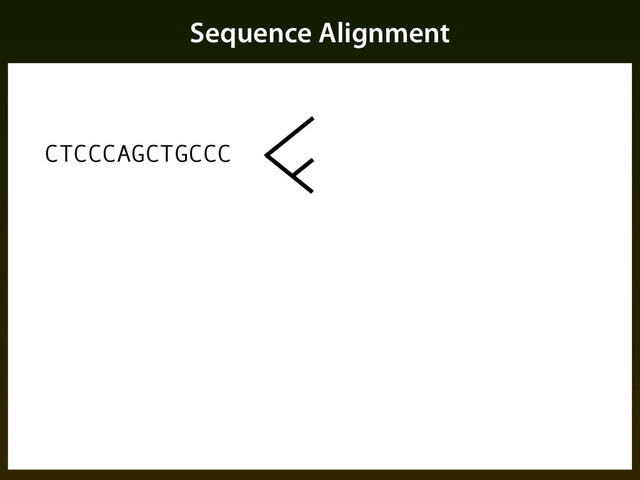 Sequence Alignment
CTCCCAGCTGCCC
