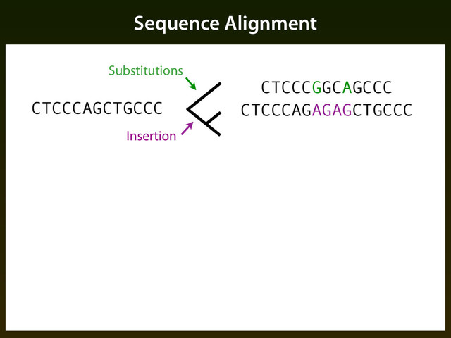 Sequence Alignment
CTCCCAGCTGCCC
Substitutions
CTCCCGGCAGCCC
Insertion
CTCCCAGAGAGCTGCCC
